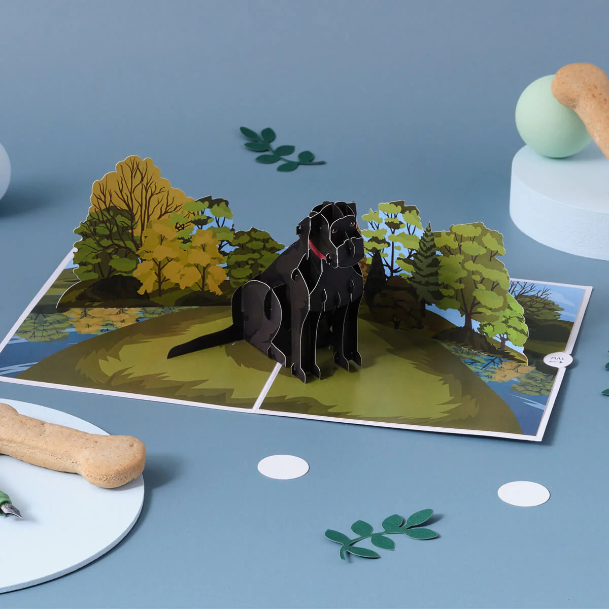 Black Labrador Pop Up Card - Image 3