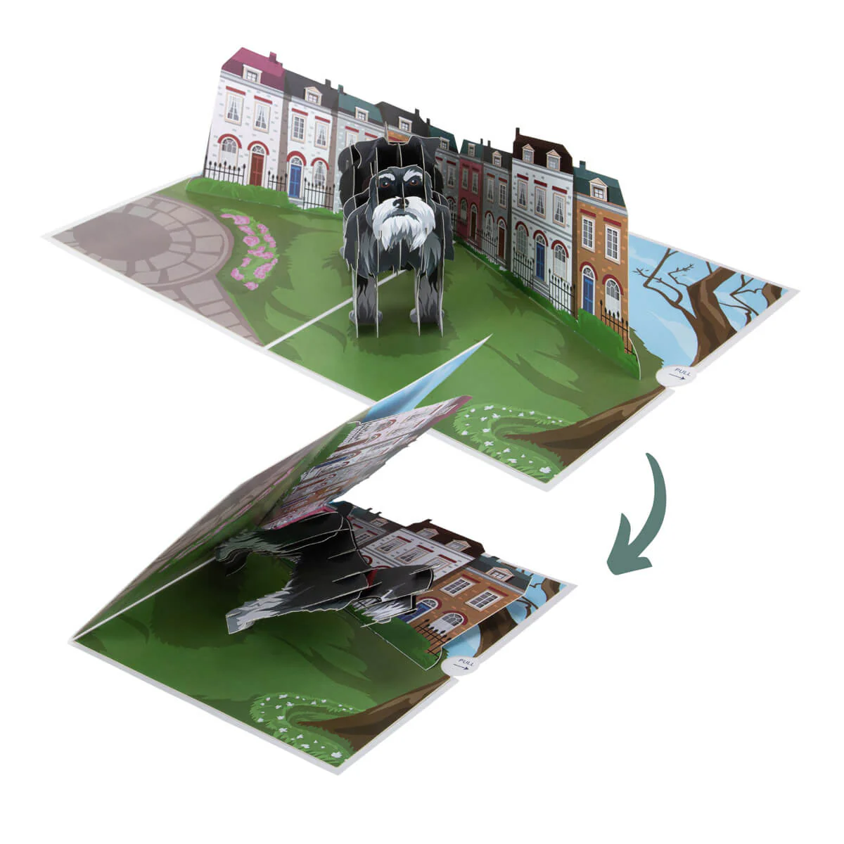 Miniature Schnauzer Pop Up Card - Image 6