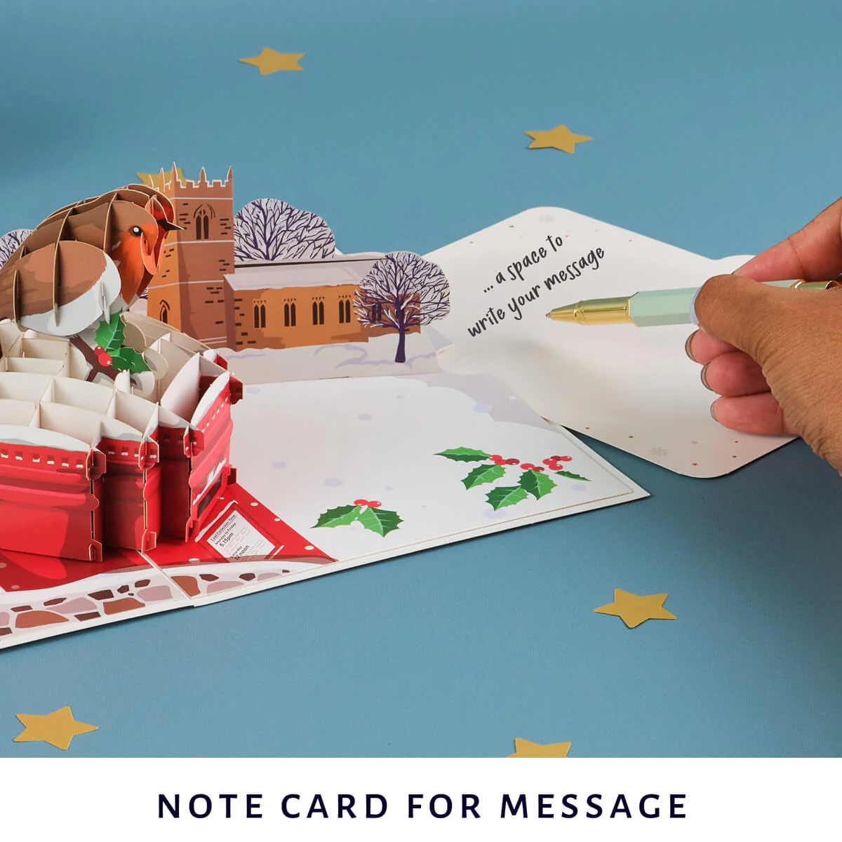 Robin Pop Up Card - Image 6