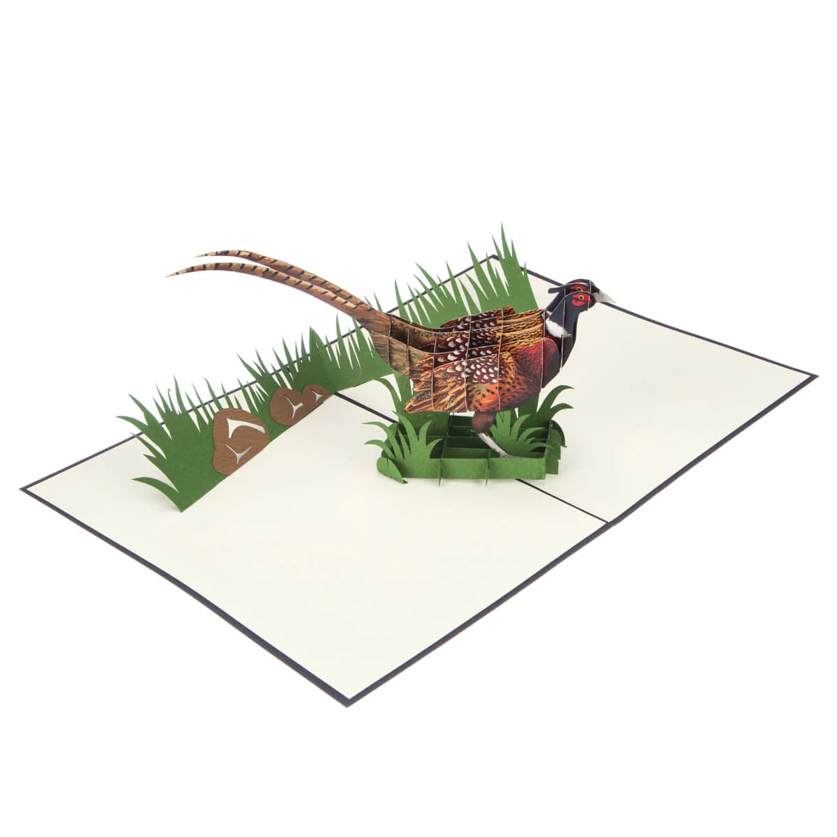 Wild Pheasant Pop Up Card - Image 4