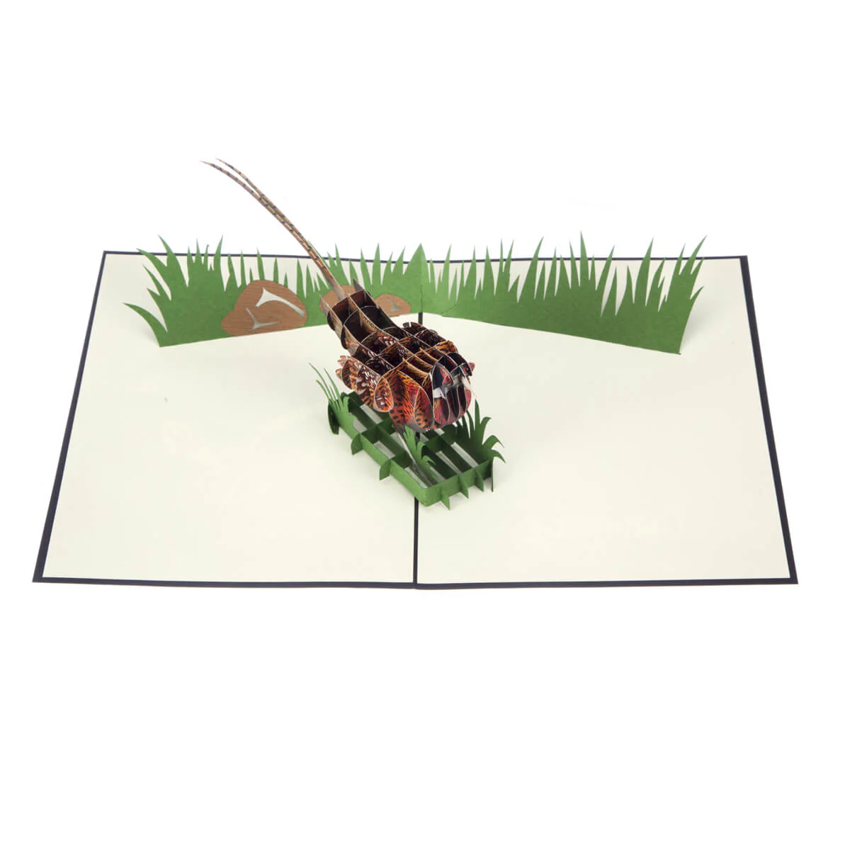 Wild Pheasant Pop Up Card - Image 8